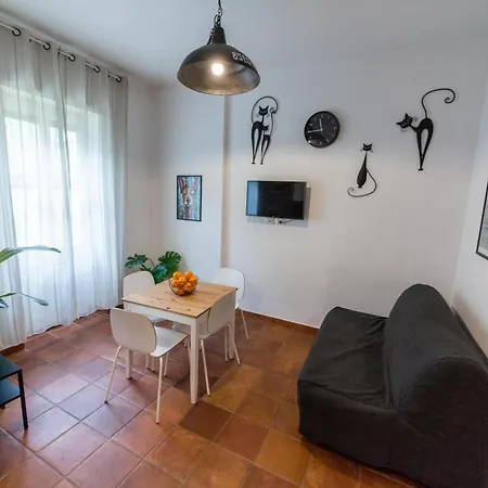 Irnerio House *